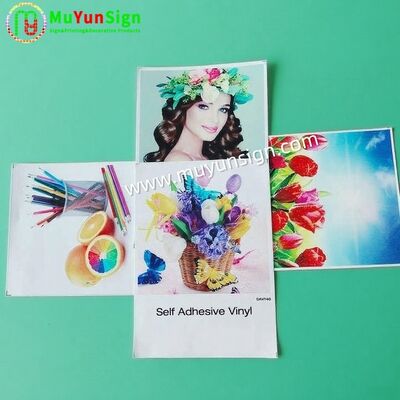 Glossy Or Matte Finish Digital Printing Vinyl Film Self Adhesive