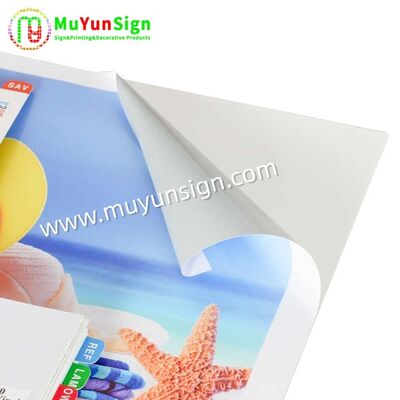 Glossy / Matte Surface Self Adhesive Vinyl Label Solvent Latex UV Inks Printing