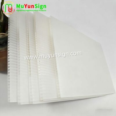 Model Making Polypropylene Corrugated Sheet Various Thickness For Arts And Crafts