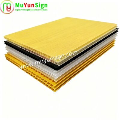 Easy Cutting Polypropylene Hollow Sheet Colorful 3mm 5mm 10mm Shatterproof