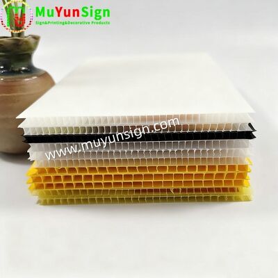 Easy Cutting Polypropylene Hollow Sheet Colorful 3mm 5mm 10mm Shatterproof